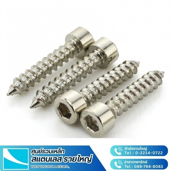 สกรูสแตนเลส สกรูสแตนเลส